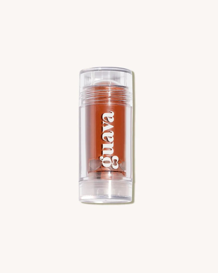 Multistick 4 em 1 com Skincare