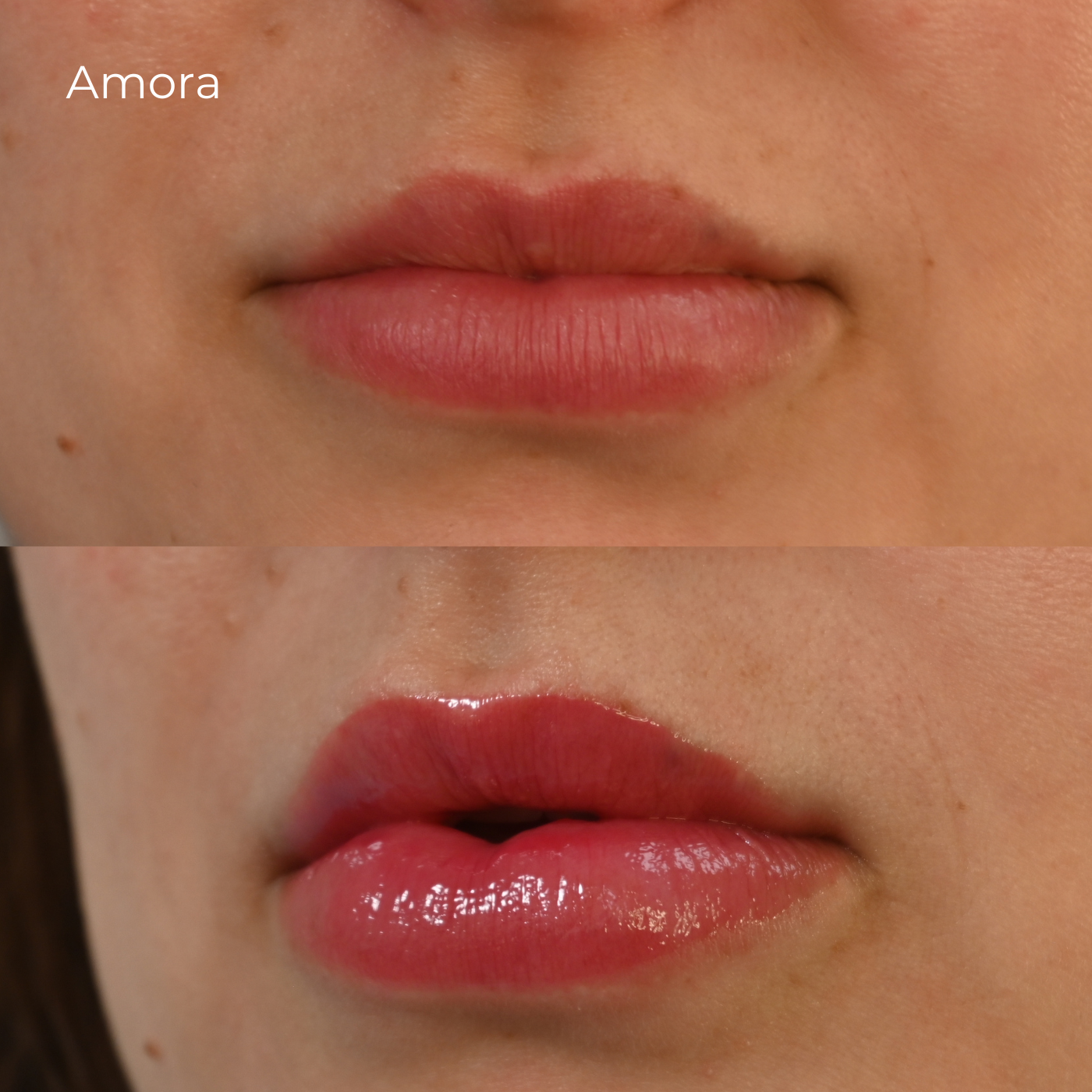 Lip Oil Multirreparador Amora -